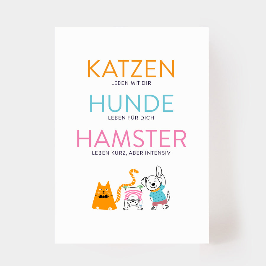 Postkarte "Hamster"